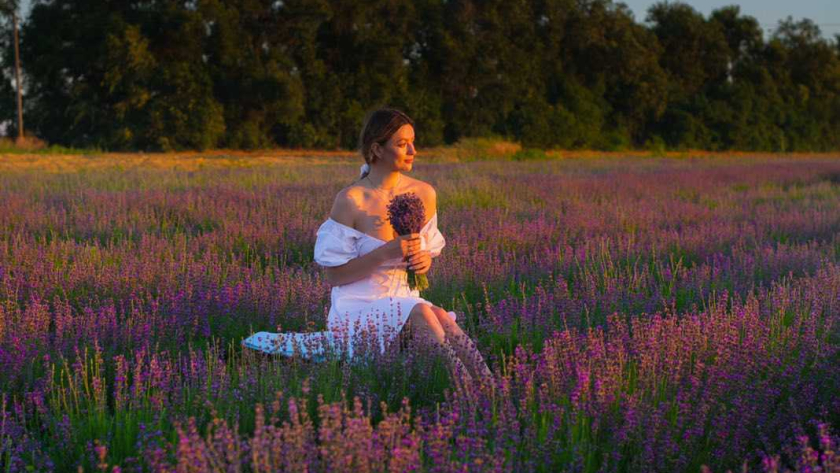 Лавандовые поля и продукция от украинских производителей